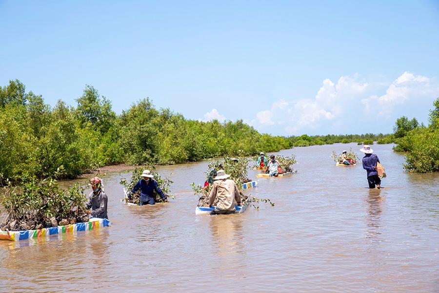 Temasek supported a mangrove reforestation project in the Mekong Delta in Vietnam