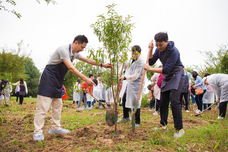 planting peach tree saplings in the Suzhou Taihu National Wetland Park 